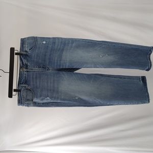 Vervet Straight Leg Distressed Jeans